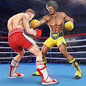 Icon Punch Boxing Game: Ninja Fight