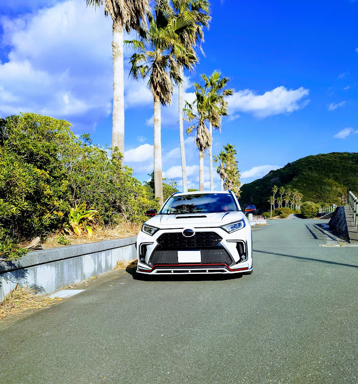 RAV4のピックアップ一度でも載ってみたい・目指せPickUpCars・セクシーボディ選手権・南張海浜公園・リアゲートスポイラー装着に関するカスタム事例の投稿画像1枚目