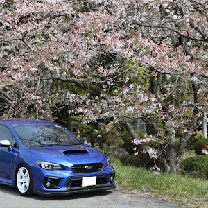 WRX STI VAB