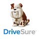 DriveSure - Androidアプリ