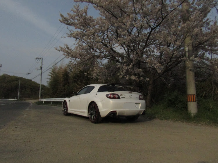 RX-8の桜とコラボ・桜と愛車に関するカスタム事例の投稿画像2枚目