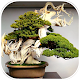 Download 200 Bonsai Design Ideas For PC Windows and Mac 2.0