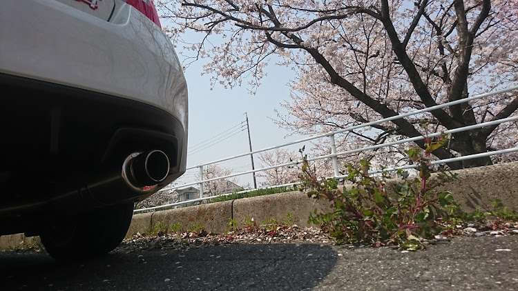 WRX S4の桜とコラボに関するカスタム事例の投稿画像4枚目