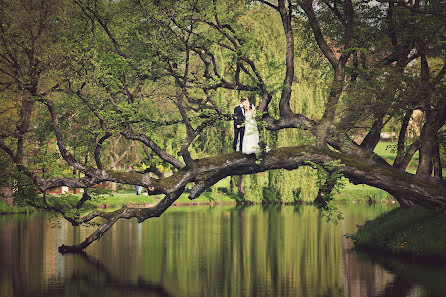 Fotógrafo de casamento Dominik Musiałek (musialekdominik). Foto de 15 de janeiro 2021