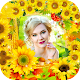 Download Sunflower Photo Frame For PC Windows and Mac 1.0