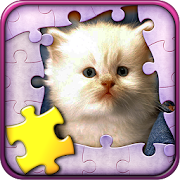 Cute Cats Jigsaw Puzzle 4.3 Icon