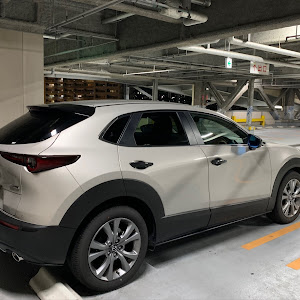 CX-30 DMEP