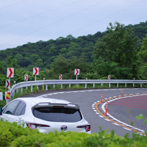 カローラスポーツ NRE210H