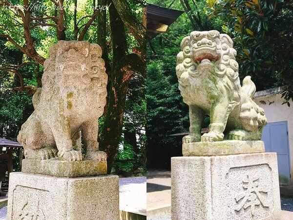 中山白山神社 狛犬