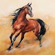 Download Horse True Arabic Wallpaper Free For PC Windows and Mac 3.7