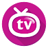 Orion TV2.0.4