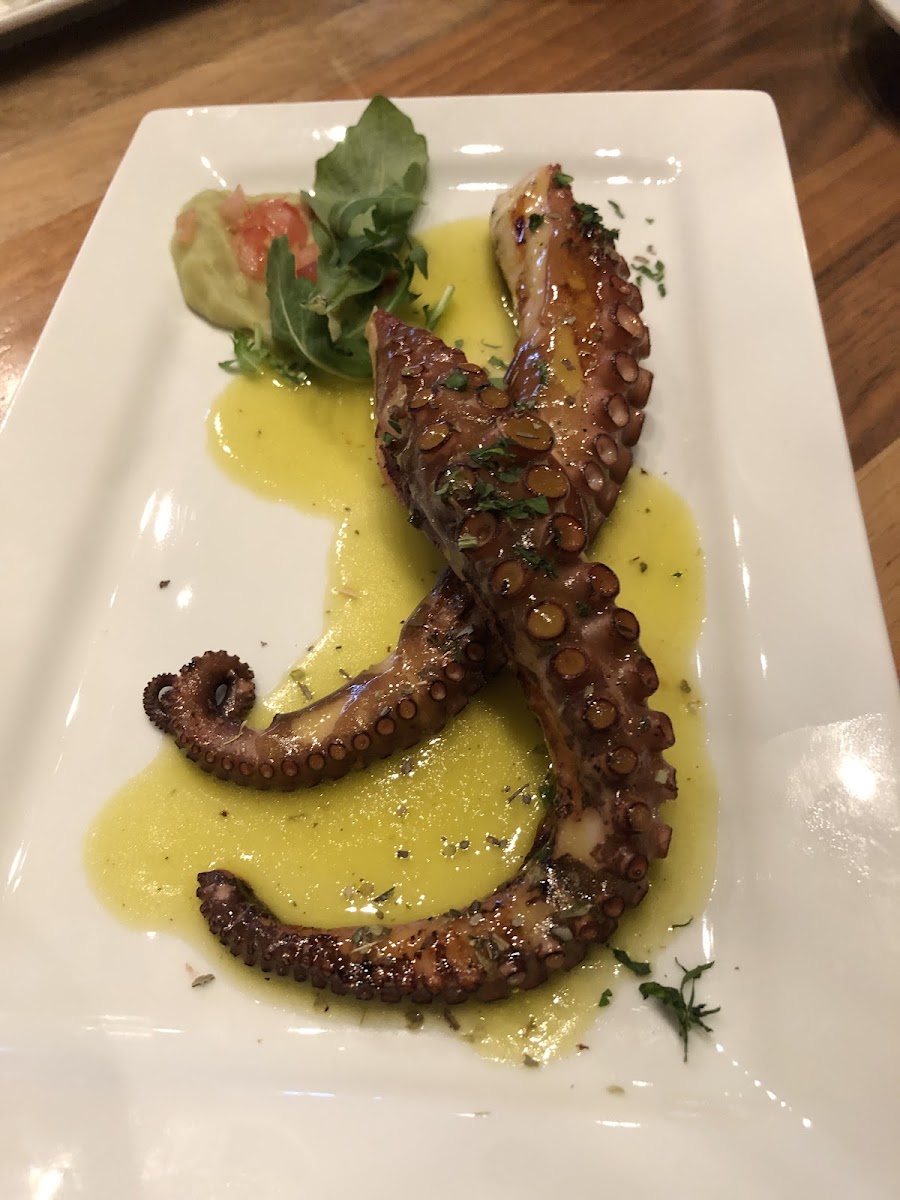 Grilled Octopus