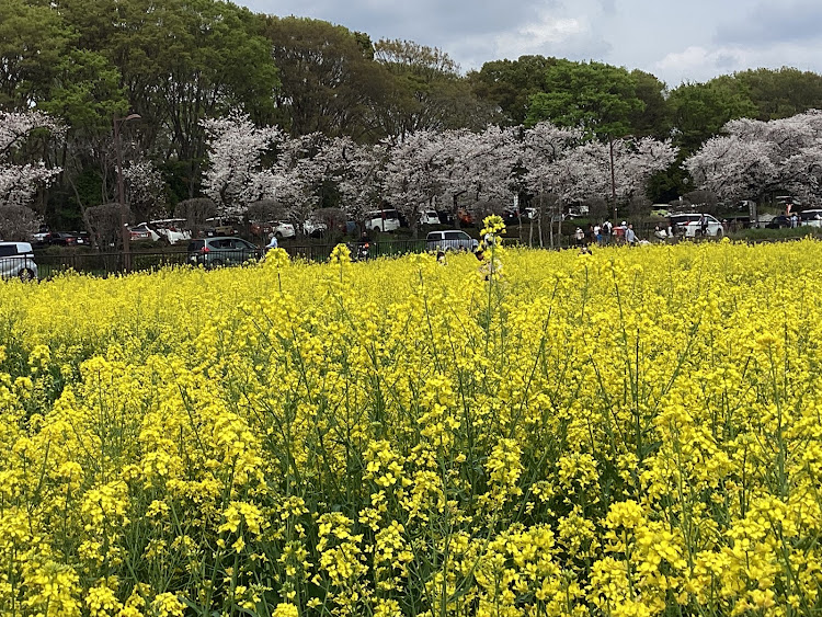 の投稿画像114枚目