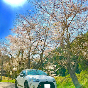DS3
