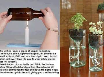 Glass Bottle Planter