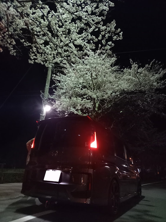 ステップワゴンの桜・ドライブに関するカスタム事例の投稿画像2枚目