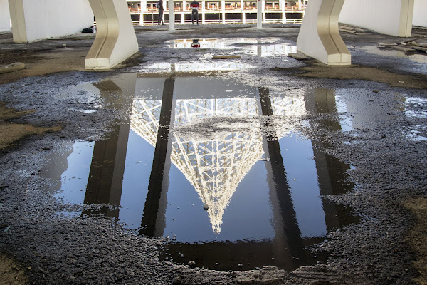 Ecomostri di bellezza di rak