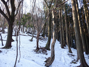 次第に雪が多くなり