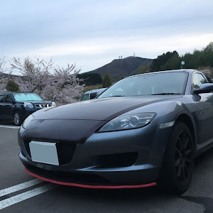 RX-8