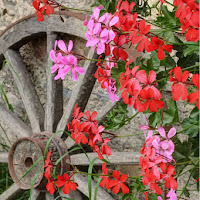 Maggio colora il tempo di 