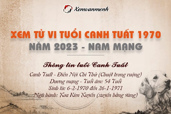 Xem tử vi tuổi Canh Tuất nam mạng năm 2023 