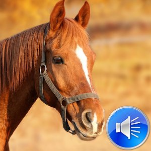 Horse Sounds Ringtones logo