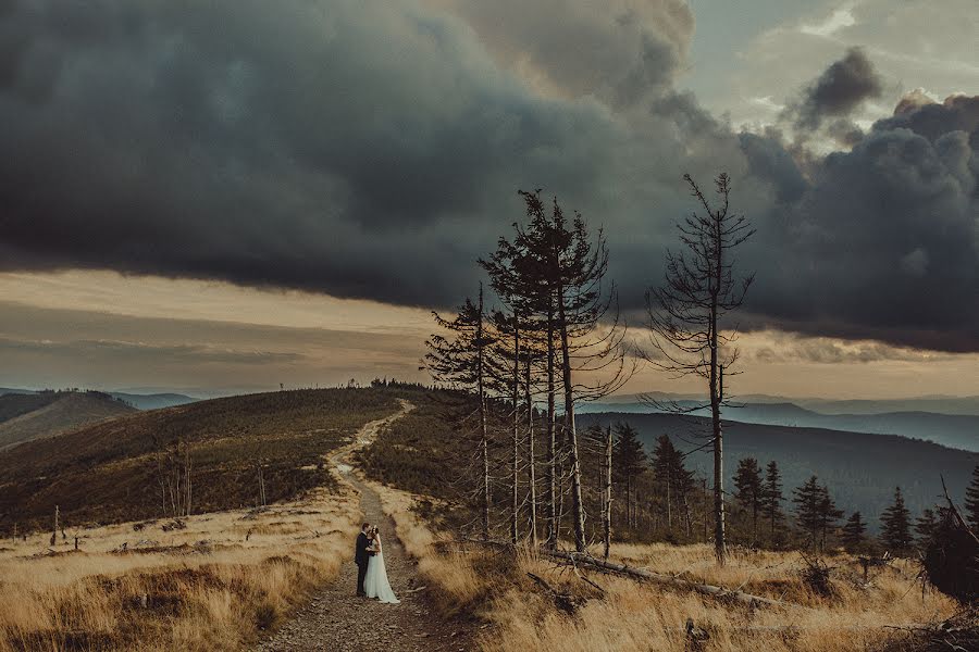 Hochzeitsfotograf Magda Brańka (magdabranka). Foto vom 23. Oktober 2017