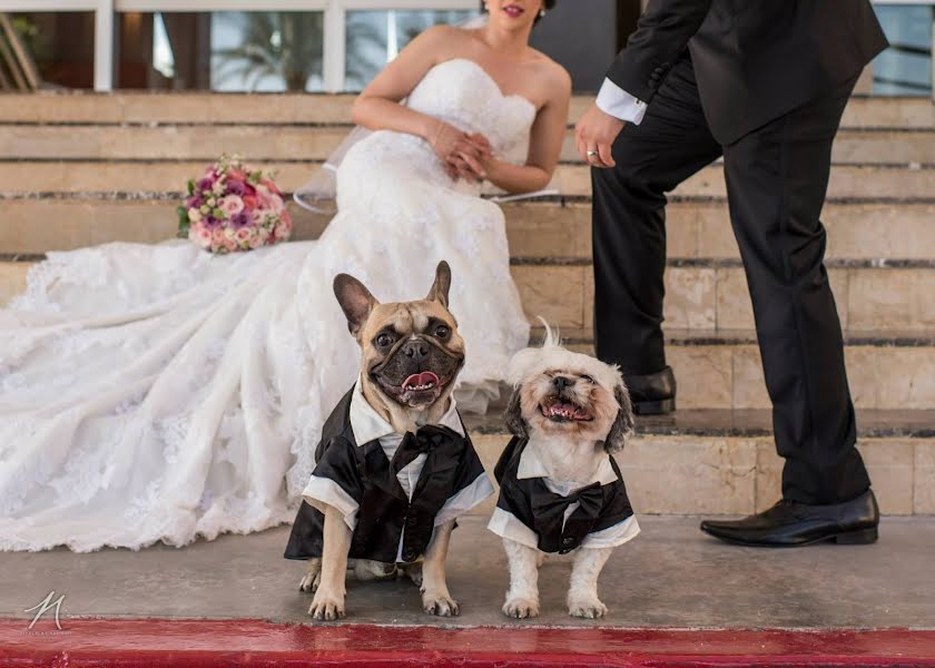 Fotógrafo de bodas Marcela Campillo (marcela). Foto del 22 de julio 2019