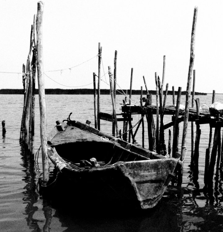 Valli di Comacchio di thebenoz