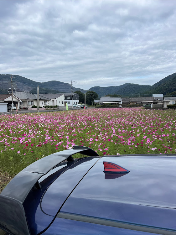 の投稿画像2枚目