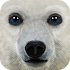 Ultimate Arctic Simulator1.1 (Mod)