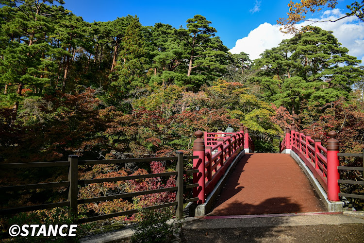 フィットの紅葉まだぁ？・弥彦もみじ谷・風景は難しい…・下手の横好き・写真って難しいなぁ…に関するカスタム事例の投稿画像3枚目