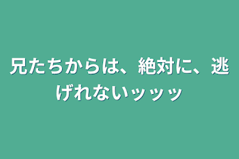 兄たちからは、絶対に、逃げれないッッッ