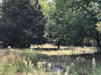 terrain à Le Teich (33)