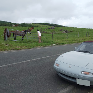 ロードスター NA8C