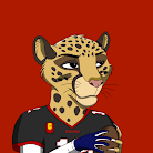 Tom Brady Cheetah