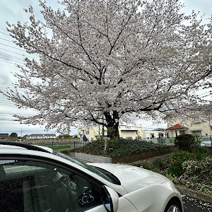 3シリーズ ツーリング E91