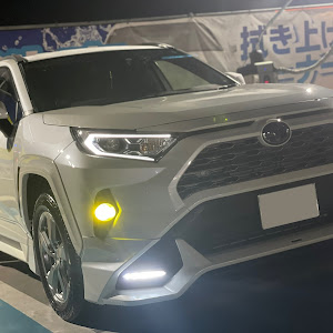 RAV4 AXAH54