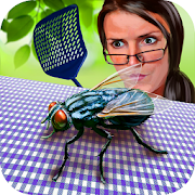 Insect Sim: Fly Survival 2 1.1 Icon
