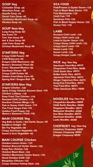 Chopstick Family Restaurant menu 1