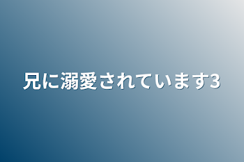 兄に溺愛されています3