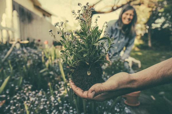 Minimalist Garden Design Ideas That Might Interest You