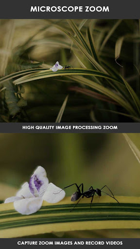 Screenshot Magnifying & Microscope Zoom H