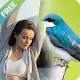 Download Birds Photo Frames For PC Windows and Mac 1.0