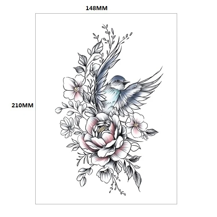 images slider number - 24