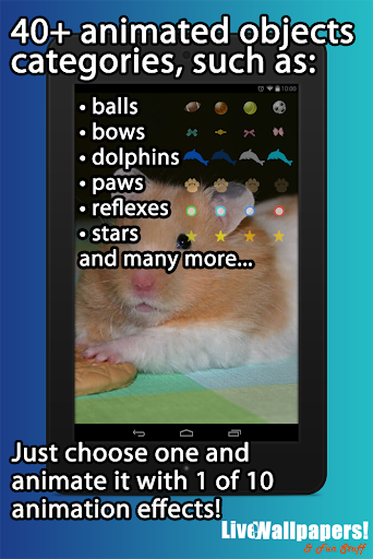 Hamsters Live Wallpaper