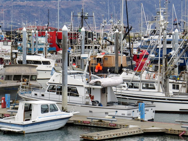 Homer Port and Harbor