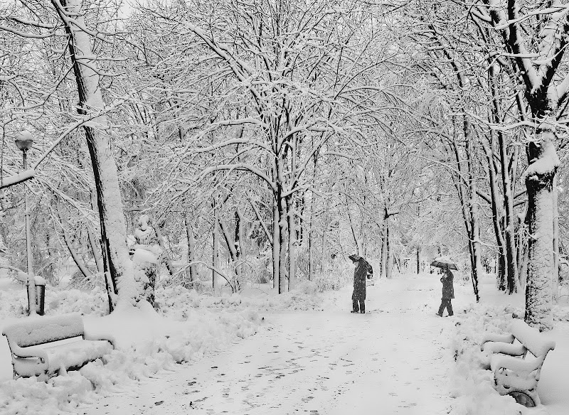 Passeggiata nel parco di eugen