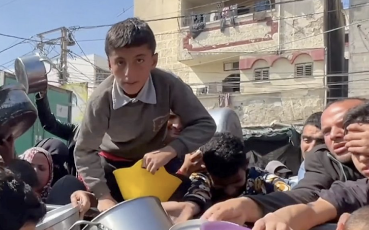 Mohammed Zo'rab is one of thousands of children in Gaza who have become primary food gatherers for their families.