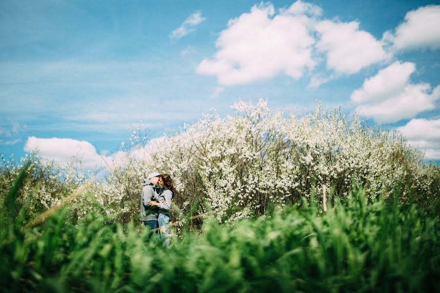 Fotógrafo de casamento Nadezhda Prutovykh (nadipruti). Foto de 31 de maio 2017